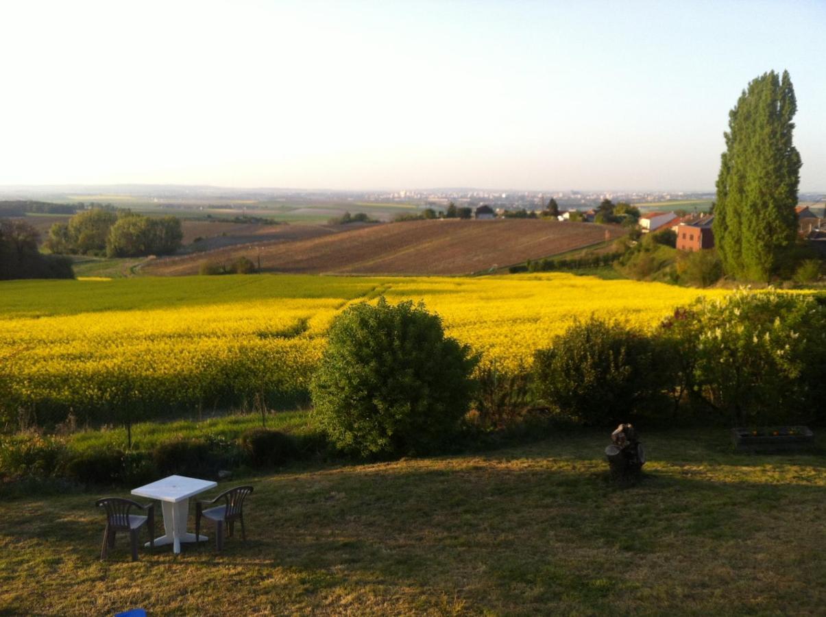 Villa Reims Epernay Champagne Vineyard Villers-Allerand Экстерьер фото