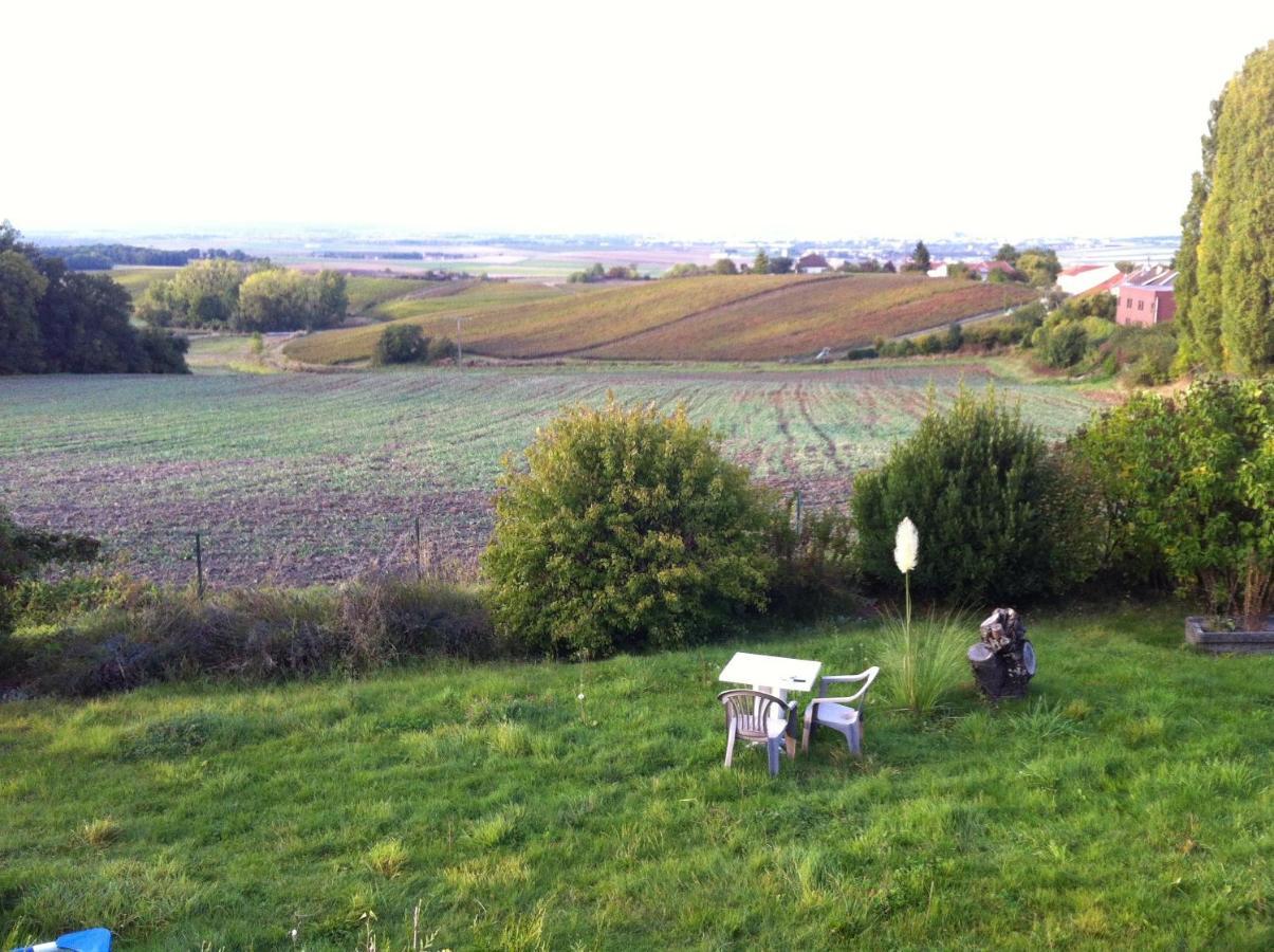 Villa Reims Epernay Champagne Vineyard Villers-Allerand Экстерьер фото